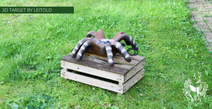 3D TARGET BABY TARANTULA BIRD SPIDER BY LEITOLD-3d target-leitold-Fairbow