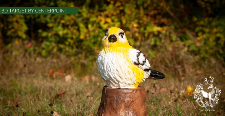 3D TARGET SPARROW BY CENTERPOINT-3d target-Centerpoint-Yellow-Fairbow
