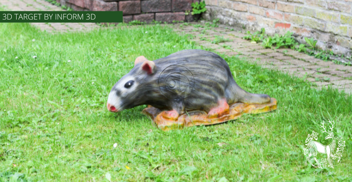 3D TARGET THE RAT BY INFORM 3D-3d target-Inform3d-Fairbow