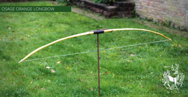 OSAGE SELFBOW, 65 INCH NTN, 51 LBS AMERICAN FLATBOW-Bow-Fairbow-Fairbow