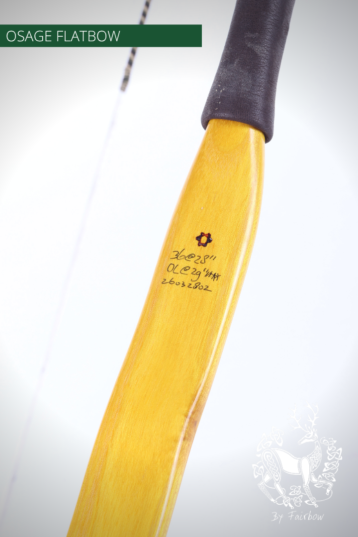 OSAGE SELFBOW, 66 INCH NTN, 36 LBS AMERICAN FLATBOW-Bow-Fairbow-Fairbow