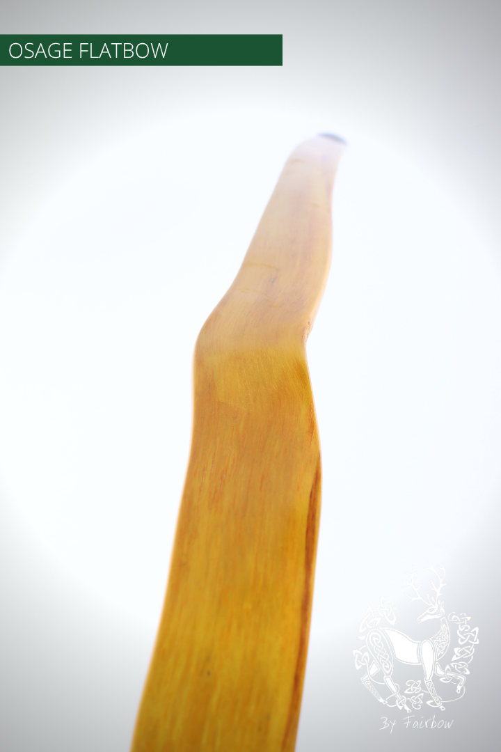 OSAGE SELFBOW, 66 INCH NTN, 36 LBS AMERICAN FLATBOW-Bow-Fairbow-Fairbow