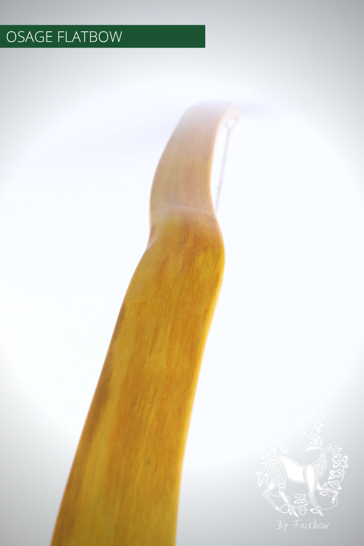 OSAGE SELFBOW, 66 INCH NTN, 36 LBS AMERICAN FLATBOW-Bow-Fairbow-Fairbow