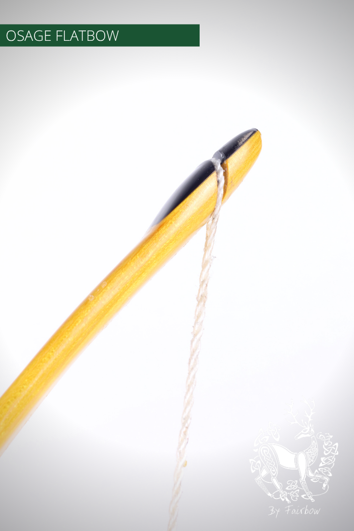 OSAGE SELFBOW, 66 INCH NTN, 36 LBS AMERICAN FLATBOW-Bow-Fairbow-Fairbow