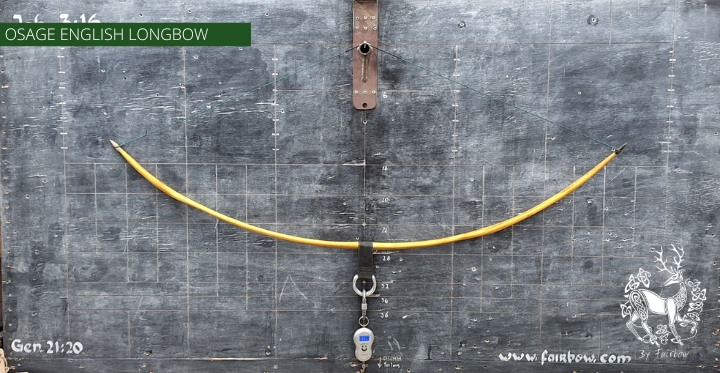 OSAGE SELFBOW,ENGLISH LONGBOW 72 INCH NTN, 41 LBS-Bow-Fairbow-Fairbow