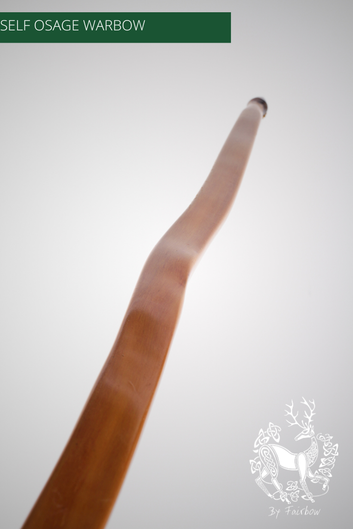 OSAGE SELFBOW,ENGLISH LONGBOW 74 INCH NTN, 116 LBS-Bow-Fairbow-Fairbow