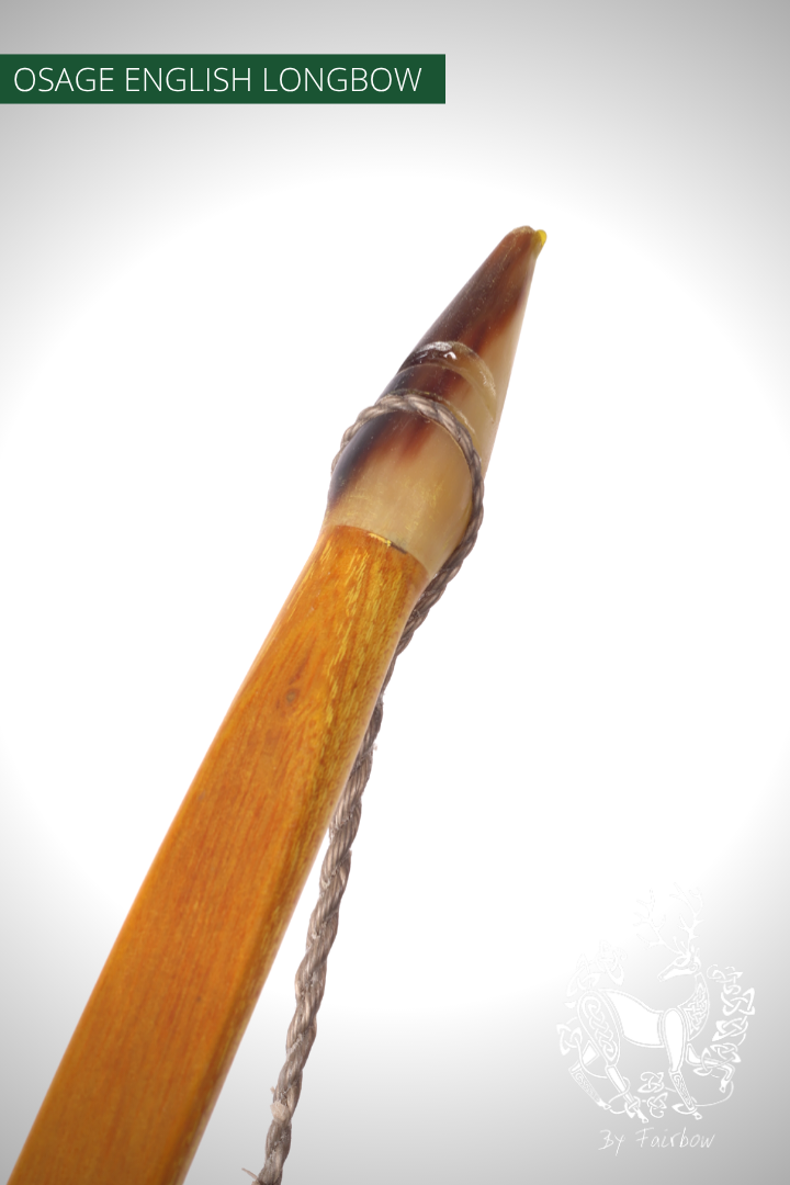 OSAGE SELFBOW,ENGLISH LONGBOW 74 INCH NTN, 58 LBS-Bow-Fairbow-Fairbow