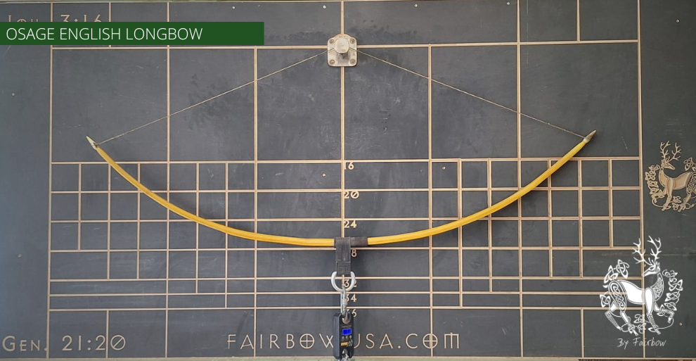 OSAGE SELFBOW,ENGLISH LONGBOW 74 INCH NTN, 59 LBS-Bow-Fairbow-Fairbow