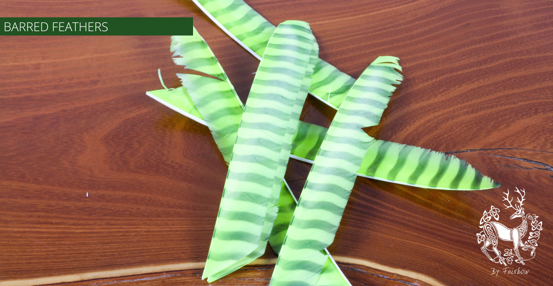TURKEY FEATHERS BARRED AND COLORED FULL LENGTH SOLD PER DOZEN RIGHT WING-Feathers-Gateway-Fluo green barred-Fairbow