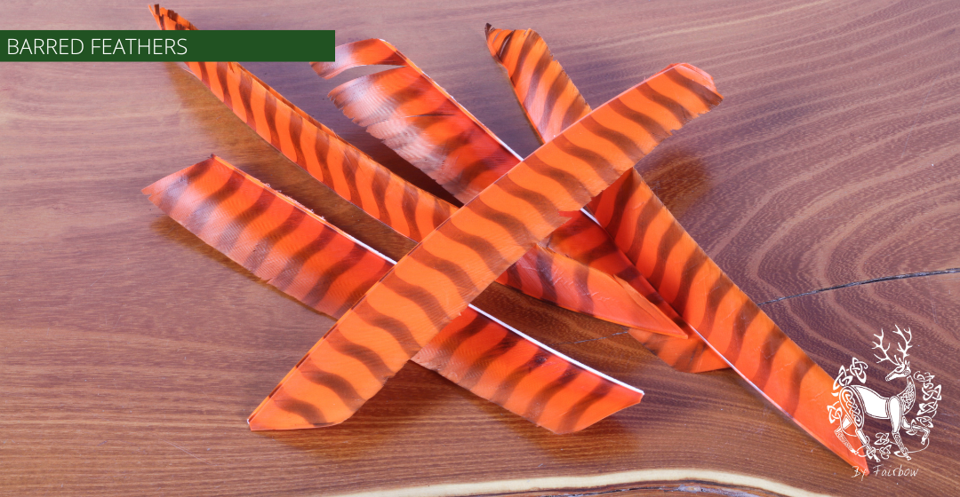 TURKEY FEATHERS BARRED AND COLORED FULL LENGTH SOLD PER DOZEN RIGHT WING-Feathers-Gateway-Orange barred-Fairbow