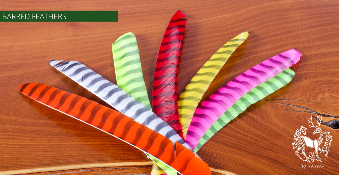 TURKEY FEATHERS BARRED AND COLORED FULL LENGTH SOLD PER DOZEN RIGHT WING-Feathers-Gateway-Red Barred-Fairbow