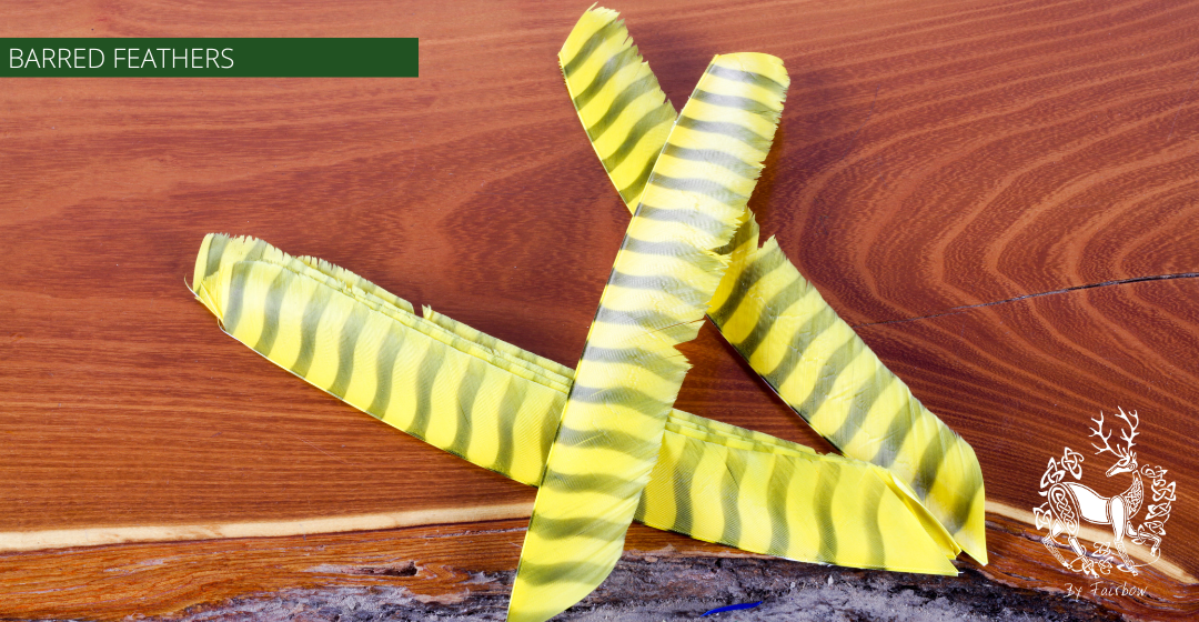 TURKEY FEATHERS BARRED AND COLORED FULL LENGTH SOLD PER DOZEN RIGHT WING-Feathers-Gateway-Yellow barred-Fairbow