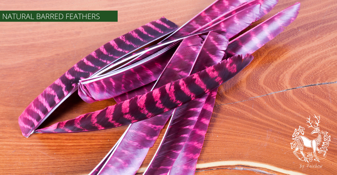 TURKEY FEATHERS NATURAL BARRED SOLD PER DOZEN RIGHT WING-Feathers-Fairbow-Red dyed-Fairbow