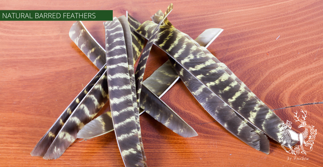 TURKEY FEATHERS NATURAL BARRED SOLD PER DOZEN RIGHT WING-Feathers-Fairbow-Yellow dyed-Fairbow