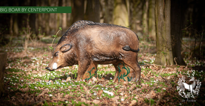 3D BIG BOAR TARGET BY CENTERPOINT-target-Centerpoint-Fairbow