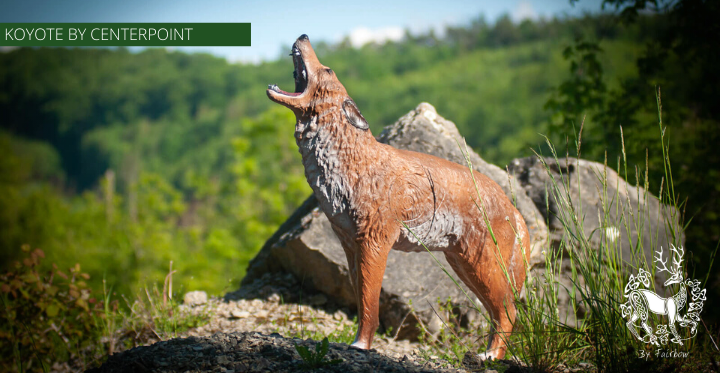 3D COYOTE TARGET BY CENTERPOINT-target-Centerpoint-Fairbow