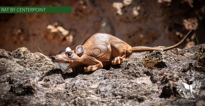 3D CRAWLING RAT TARGET BY CENTERPOINT-target-Centerpoint-Fairbow
