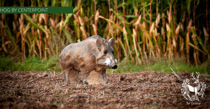 3D HOG TARGET BY CENTERPOINT-target-Centerpoint-Fairbow