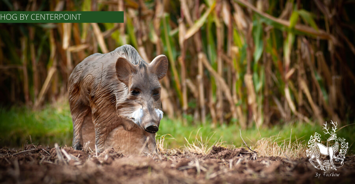 3D HOG TARGET BY CENTERPOINT-target-Centerpoint-Fairbow