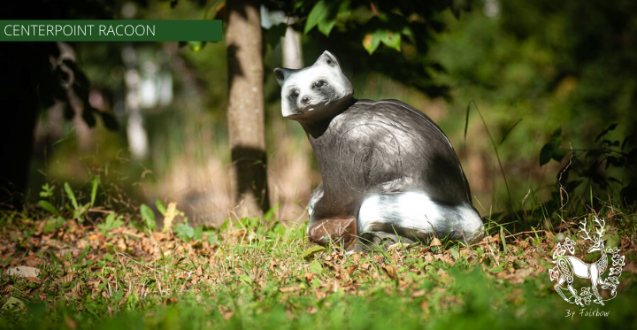 3D RACOON TARGET BY CENTERPOINT-target-Centerpoint-Fairbow