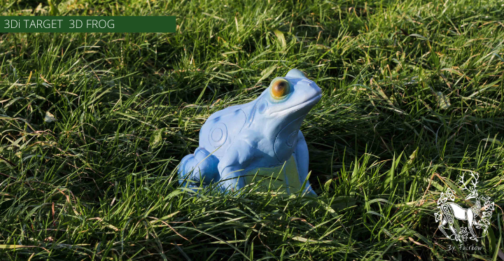 3D TARGET 3Di FROG-3d target-Fairbow-Brown-Fairbow