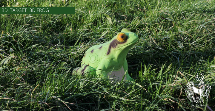 3D TARGET 3Di FROG-3d target-Fairbow-Green-Fairbow