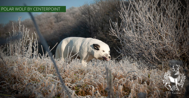3D TARGET POLAR WOLF BY CENTERPOINT-target-Centerpoint-Fairbow