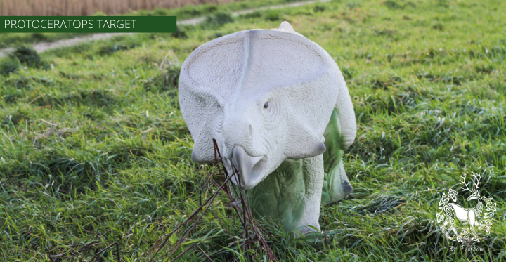 3D TARGET PROTOCERATOPS BY ELEVEN-3D target-Fairbow-Fairbow