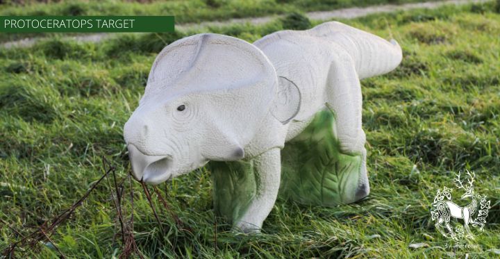 3D TARGET PROTOCERATOPS BY ELEVEN-3D target-Fairbow-Fairbow