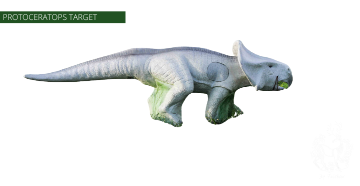 3D TARGET PROTOCERATOPS BY ELEVEN-3D target-Fairbow-Fairbow
