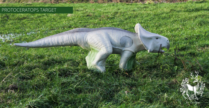 3D TARGET PROTOCERATOPS BY ELEVEN-3D target-Fairbow-Fairbow