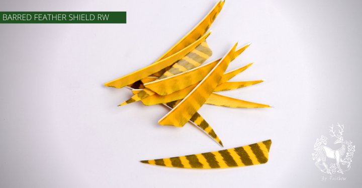 FEATHERS BARRED 4 INCH SHIELD PER DOZEN (RW)-Feathers-Fairbow-Yellow - Black-Fairbow