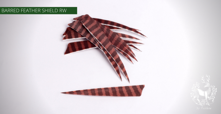 FEATHERS BARRED 5 INCH SHIELD PER DOZEN (RW)-Feathers-Fairbow-Brown - Black-Fairbow