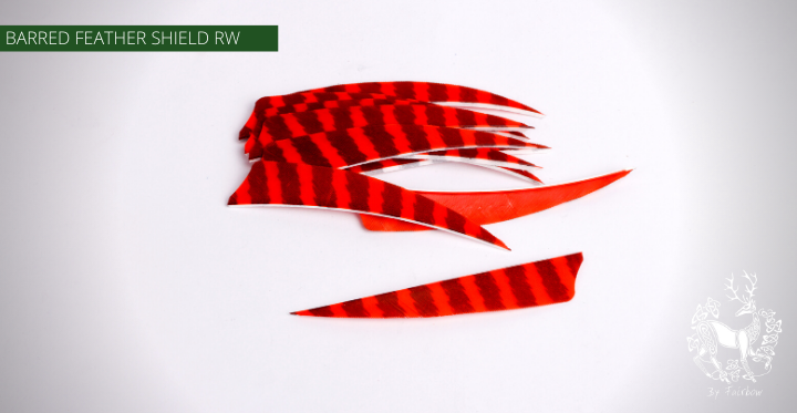 FEATHERS BARRED 5 INCH SHIELD PER DOZEN (RW)-Feathers-Fairbow-Orange - Black-Fairbow