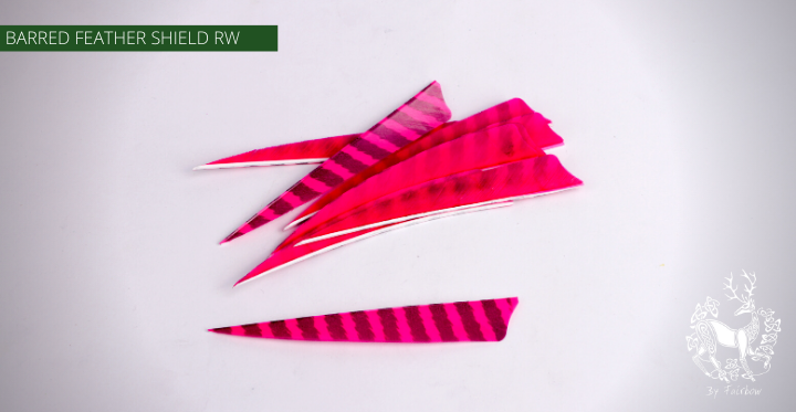 FEATHERS BARRED 5 INCH SHIELD PER DOZEN (RW)-Feathers-Fairbow-Pink - Black-Fairbow