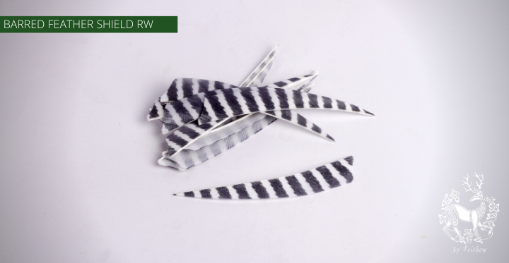 FEATHERS BARRED 5 INCH SHIELD PER DOZEN (RW)-Feathers-Fairbow-White - Black-Fairbow
