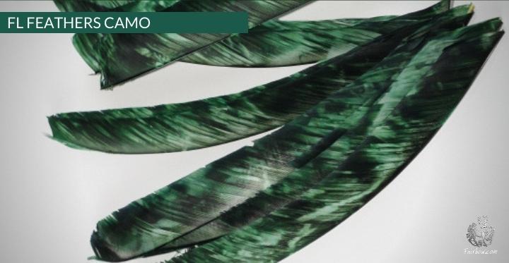 FEATHERS FULL LENGTH CAMO GATEWAY RIGHT WING-Feathers-Gateway-Camo blue-Fairbow