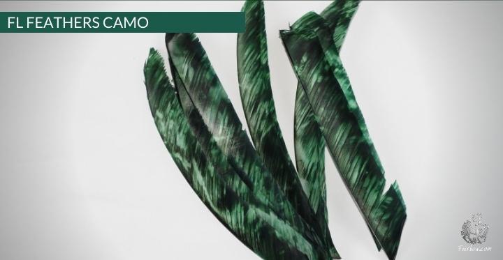 FEATHERS FULL LENGTH CAMO GATEWAY RIGHT WING-Feathers-Gateway-Camo green-Fairbow