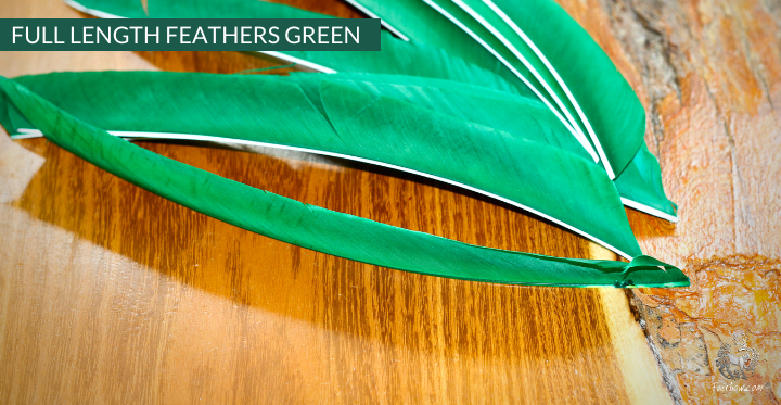 FULL LENGTH FEATHERS PER DOZEN RIGHT WING-Feathers-Fairbow-Black-Fairbow