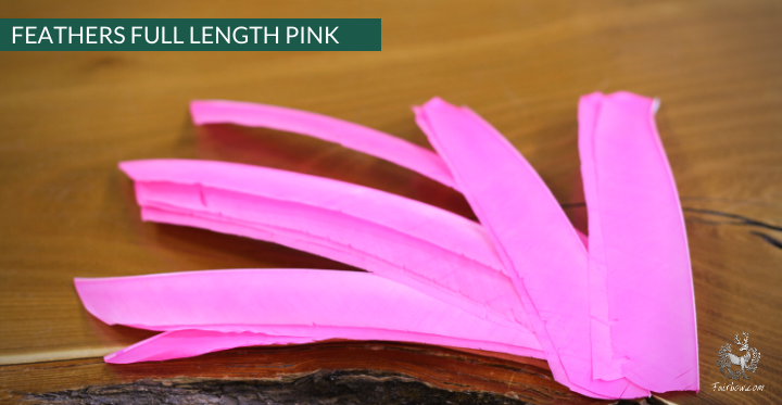 FULL LENGTH FEATHERS PER DOZEN RIGHT WING-Feathers-Fairbow-Black-Fairbow