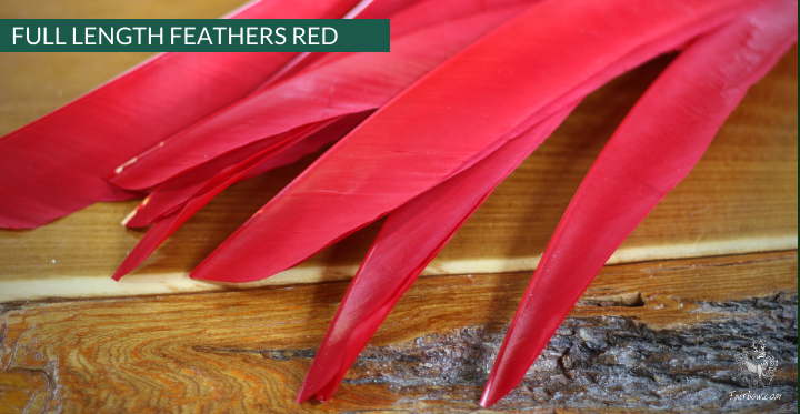FULL LENGTH FEATHERS PER DOZEN RIGHT WING-Feathers-Fairbow-Black-Fairbow