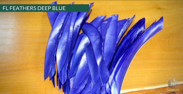 FULL LENGTH FEATHERS PER DOZEN RIGHT WING-Feathers-Fairbow-Black-Fairbow