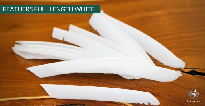 FULL LENGTH FEATHERS PER DOZEN RIGHT WING-Feathers-Fairbow-Black-Fairbow