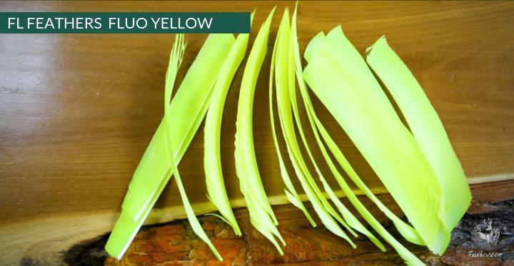 FULL LENGTH FEATHERS PER DOZEN RIGHT WING-Feathers-Fairbow-Black-Fairbow