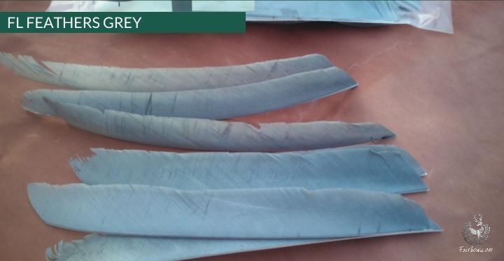 FULL LENGTH FEATHERS PER DOZEN RIGHT WING-Feathers-Fairbow-Black-Fairbow