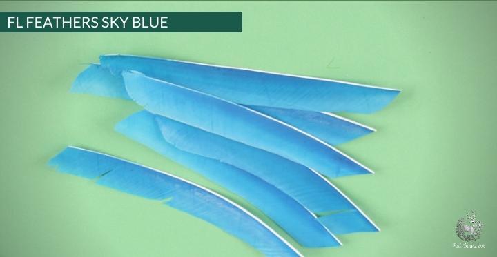 FULL LENGTH FEATHERS PER DOZEN RIGHT WING-Feathers-Fairbow-Black-Fairbow