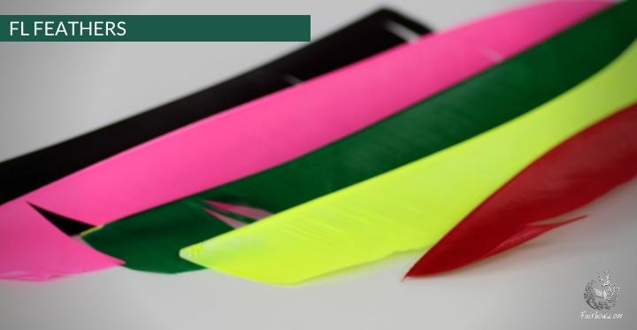 FULL LENGTH FEATHERS PER DOZEN RIGHT WING-Feathers-Fairbow-Black-Fairbow