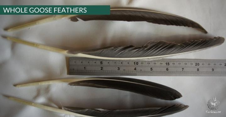 GOOSE FEATHERS GREY SOLD PER DOZEN-Feathers-Fairbow-Fairbow