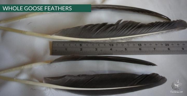 GOOSE FEATHERS GREY SOLD PER DOZEN-Feathers-Fairbow-Fairbow