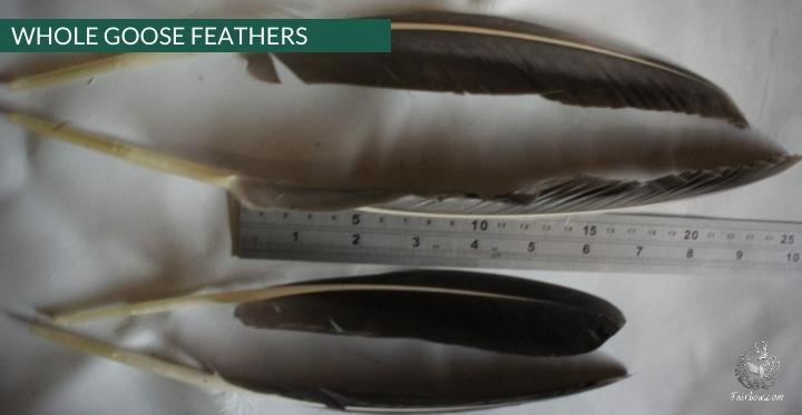 GOOSE FEATHERS GREY SOLD PER DOZEN-Feathers-Fairbow-Fairbow